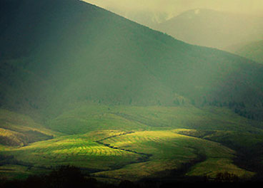 网站攻击软件工具